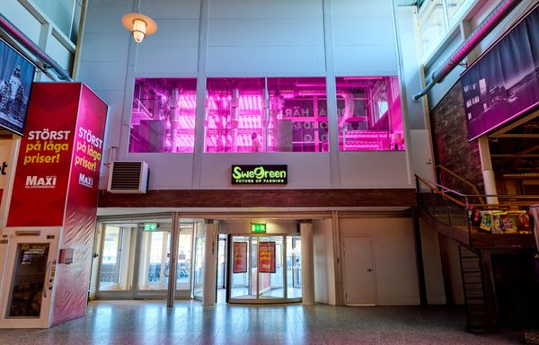 Swegreen Freja farm installed in the entrance tower of Maxi ICA Stormarknad Skellefteå