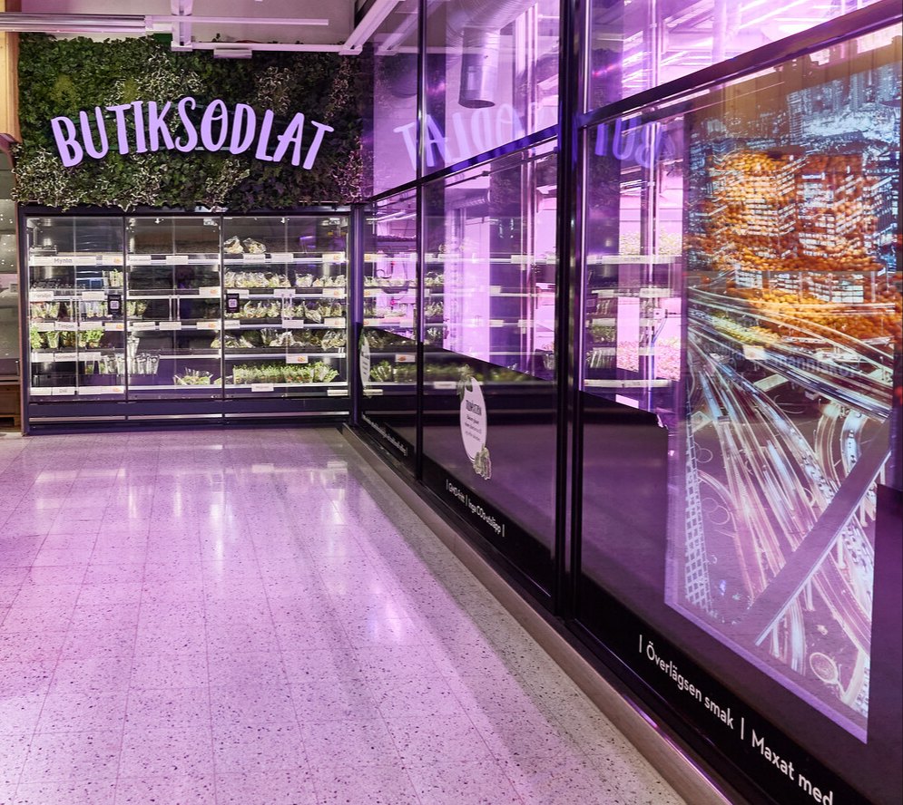 Glass walls of the Swegreen vertical farm along the aisle at Maxi ICA Stormarknad Solna