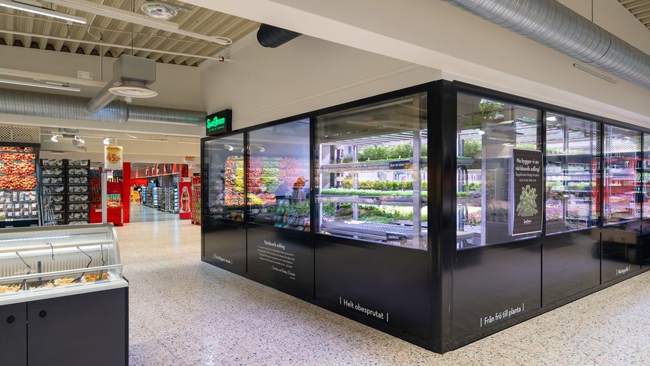 Swegreen Freja in-store vertical farm behind glass walls inside Maxi ICA Stormarknad Ängelholm