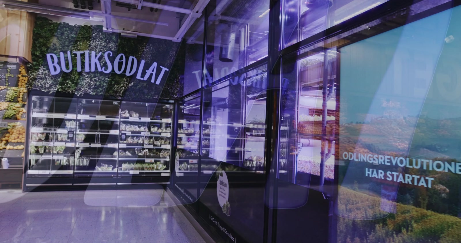 Glass walls of the Swegreen in-store vertical farm along the aisle at Maxi ICA Stormarknad Solna