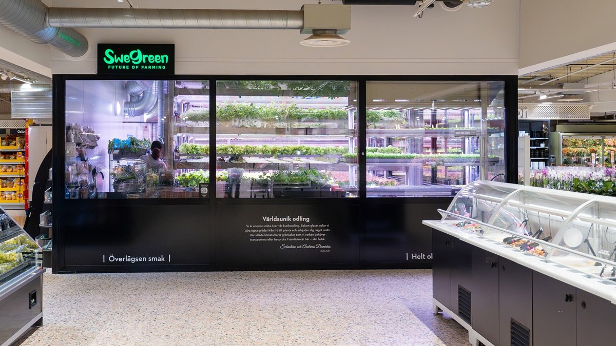 Swegreen in-store farm inside Maxi ICA Stormarknad Ängelholm